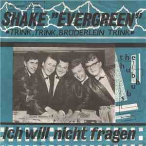 The Hubbubs - Shake "Evergreen" / Ich Will Nicht Fragen download mp3