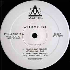 William Orbit - Adagio For Strings download mp3