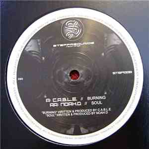 C.A.B.L.E. / Noah.D - Burning / Soul download mp3