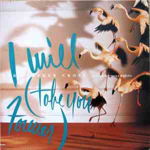 Christopher Cross - I Will (Take You Forever) download mp3