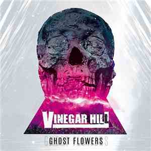 Vinegar Hill - Ghost Flowers download mp3
