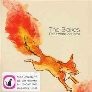 The Blakes - Don't Want That Now download mp3