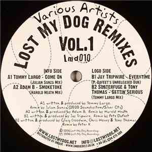 Various - Lost My Dog Remixes Vol. 1 download mp3