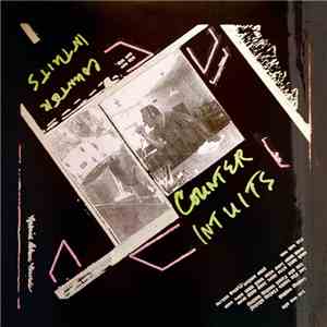 Counter Intuits - Sheets Of Hits download mp3