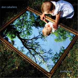 Don Caballero - Punkgasm download mp3