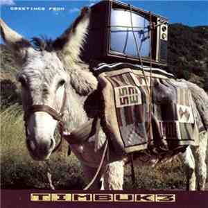 Timbuk 3 - Greetings From Timbuk 3 download mp3
