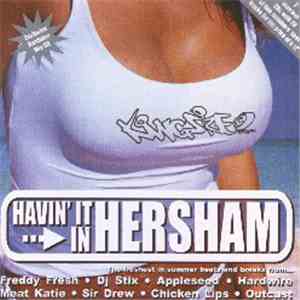 Various - Havin' It In Hersham download mp3