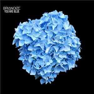 Brianoize - You Are Blue download mp3