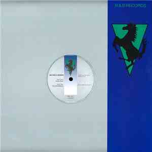 Michele Mininni - Rave Oscillations download mp3