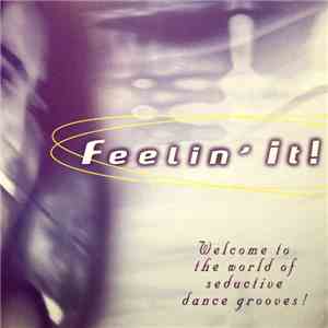 Various - Feelin' It download mp3