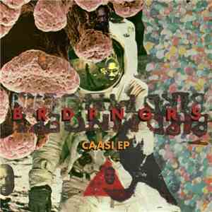 BRDFNGRS - Caasi download mp3