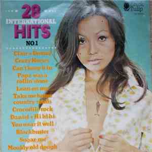 Unknown Artist - 28 International Hits No.1 download mp3