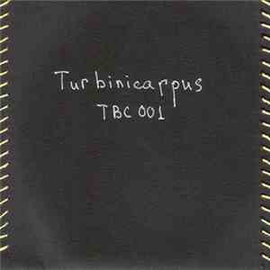Various - Turbinicarpus Compilation #1 download mp3