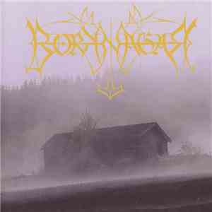 Borknagar - Borknagar download mp3