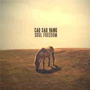 Cao Sao Vang - Soul Freedom download mp3