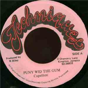 Capleton - Puny Wid The Gum download mp3