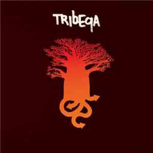 Tribeqa - Tribeqa download mp3