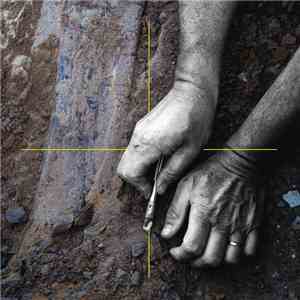 The Howl Ensemble - Patina download mp3