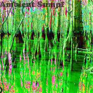 Wolfgang Raspe - Ambient Sumpf download mp3