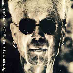 Bruce Cockburn - Nothing But A Burning Light download mp3