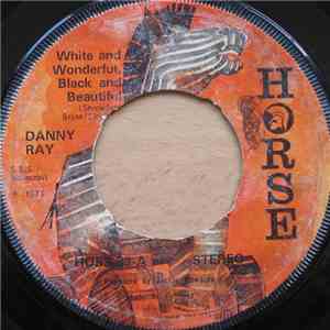 Danny Ray  - White And Wonderful, Black And Beautiful / On The Run With A Gun mp3 download
