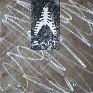 Salt - Re-Active download mp3