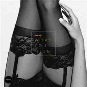 Baytek - What You Need download mp3