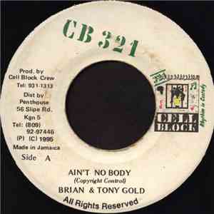 Brian & Tony Gold - Ain't No Body download mp3