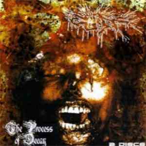 Cuff  - The Process Of Decay download mp3