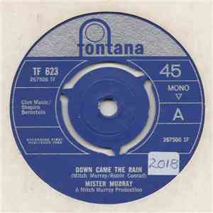Mister Murray - Down Came The Rain mp3 download