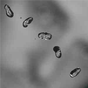 Peter Gabriel - Up download mp3