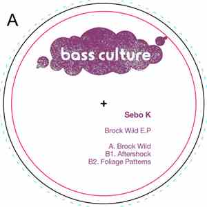 Sebo K - BROCK WILD EP download mp3
