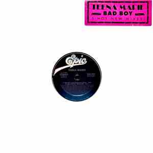 Teena Marie - Bad Boy download mp3