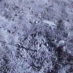 Alog - Just Recording download mp3