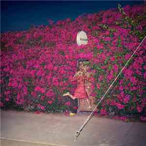 Feist - Pleasure download mp3