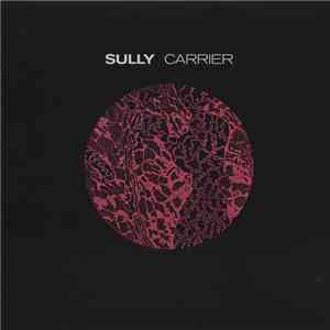 Sully  - Carrier download mp3