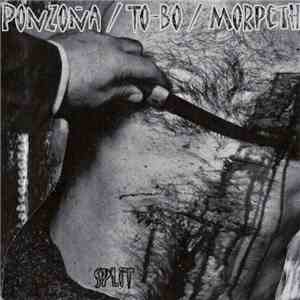 Ponzoña / To-Bo / Morpeth - Split download mp3