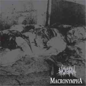 Hogra / Macronympha - Hogra / Macronympha download mp3