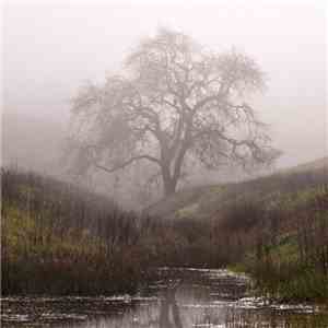 Procer Veneficus - Deathwanderings download mp3