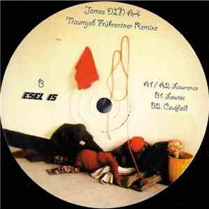 James Din A4 - Traumjob Frührentner Remixe download mp3