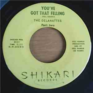 The Delanattes - You've Got That Feeling download mp3