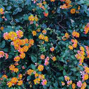 Fuvk - Something Deliberate / Almost Tuesday download mp3