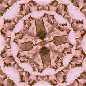 Nocturnal Emissions - Live In Vienna download mp3