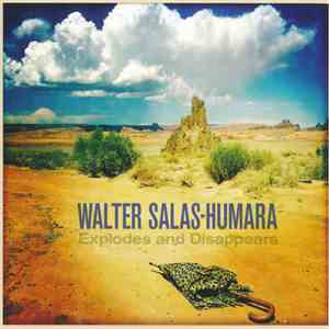Walter Salas-Humara - Explodes And Disappears download mp3