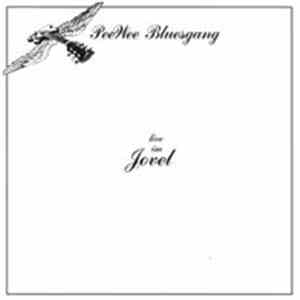 Pee Wee Bluesgang - Live Im Jovel download mp3