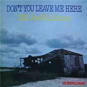 Big Joe Williams - Don't You Leave Me Here mp3 download
