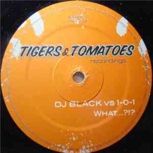 DJ Black  vs. 1-0-1 - What...?!? download mp3