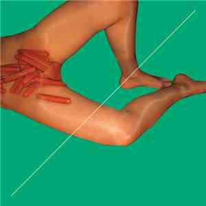 Peaches - Rub Remixed download mp3