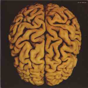 The Rip-Off Artist - Brain Salad Surgery download mp3