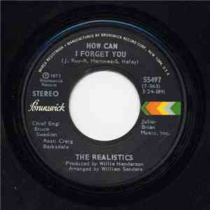 The Realistics  - How Can I Forget You download mp3